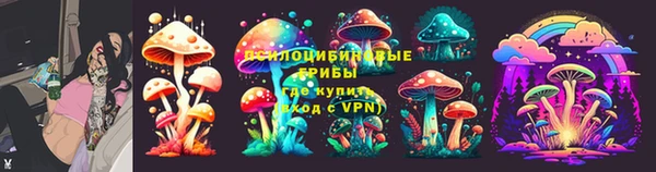 прущий лед Богородицк