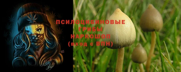 прущие крисы Богданович