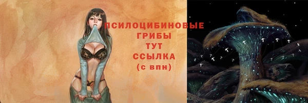 прущий лед Богородицк
