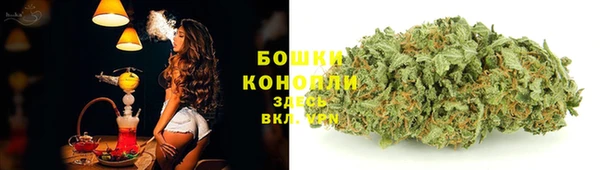 прущие крисы Богданович